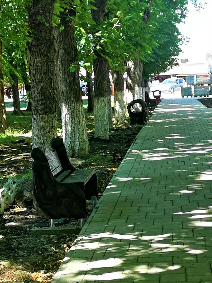 108626896 1498673633657617 3234175129780965962 n