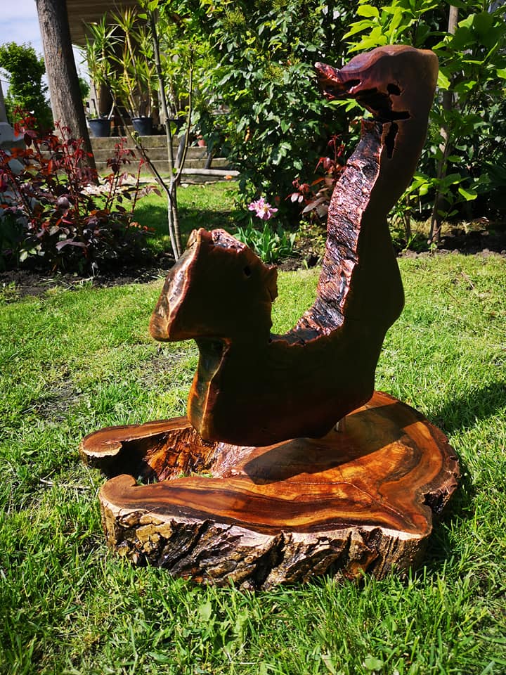 187395744 1760283480829963 5788315430323995197 n