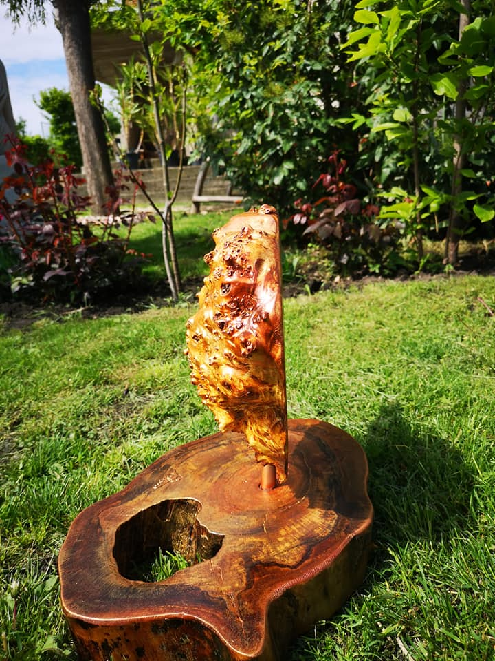 188433495 1760283377496640 5481250324950451247 n