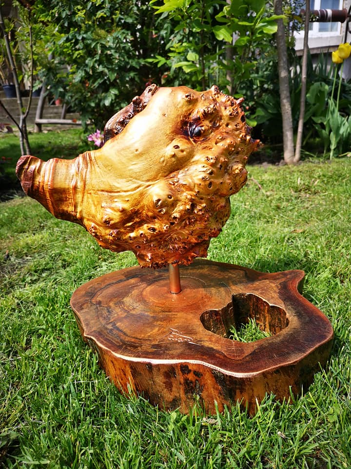 188671557 1760283270829984 7937862292180181503 n