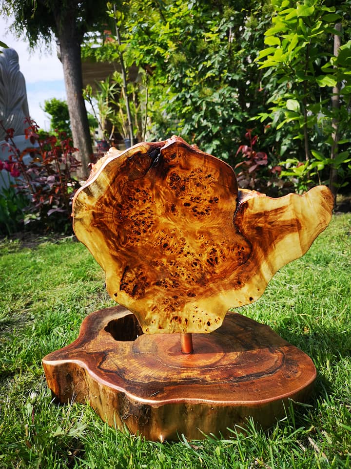 189052505 1760283317496646 5366801673577609585 n