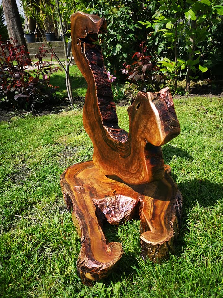 189241665 1760283567496621 335345403315819898 n