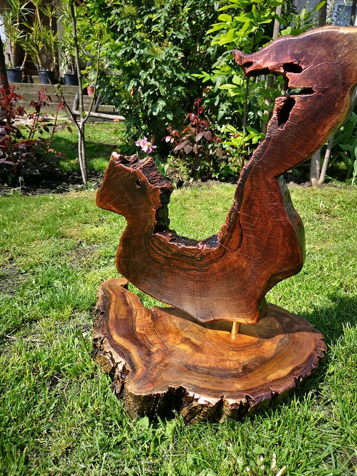 189673278 1760283614163283 3567254378837125695 n