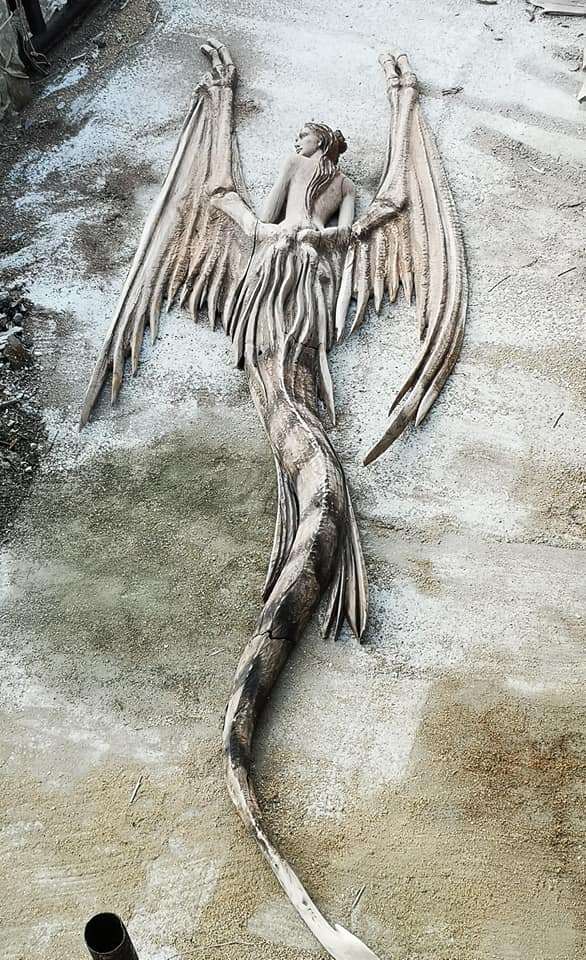 217291154 1805504276307883 2346863161175202545 n