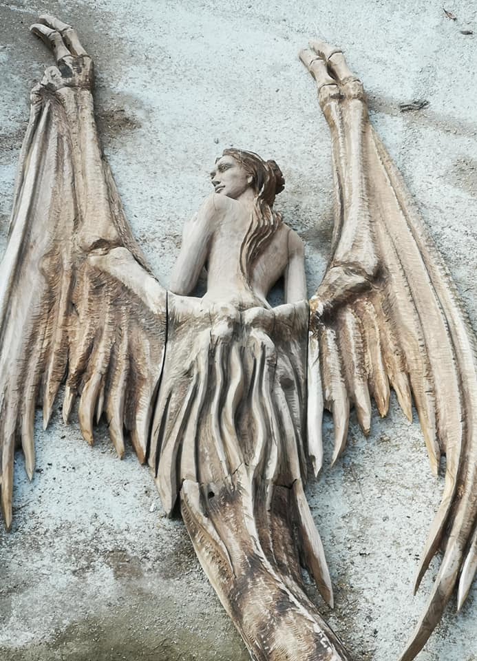 217759334 1805504342974543 158601150820914676 n