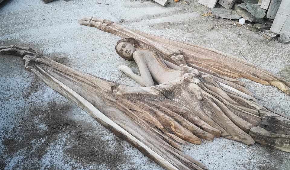 218840573 1805504399641204 860273442172383879 n