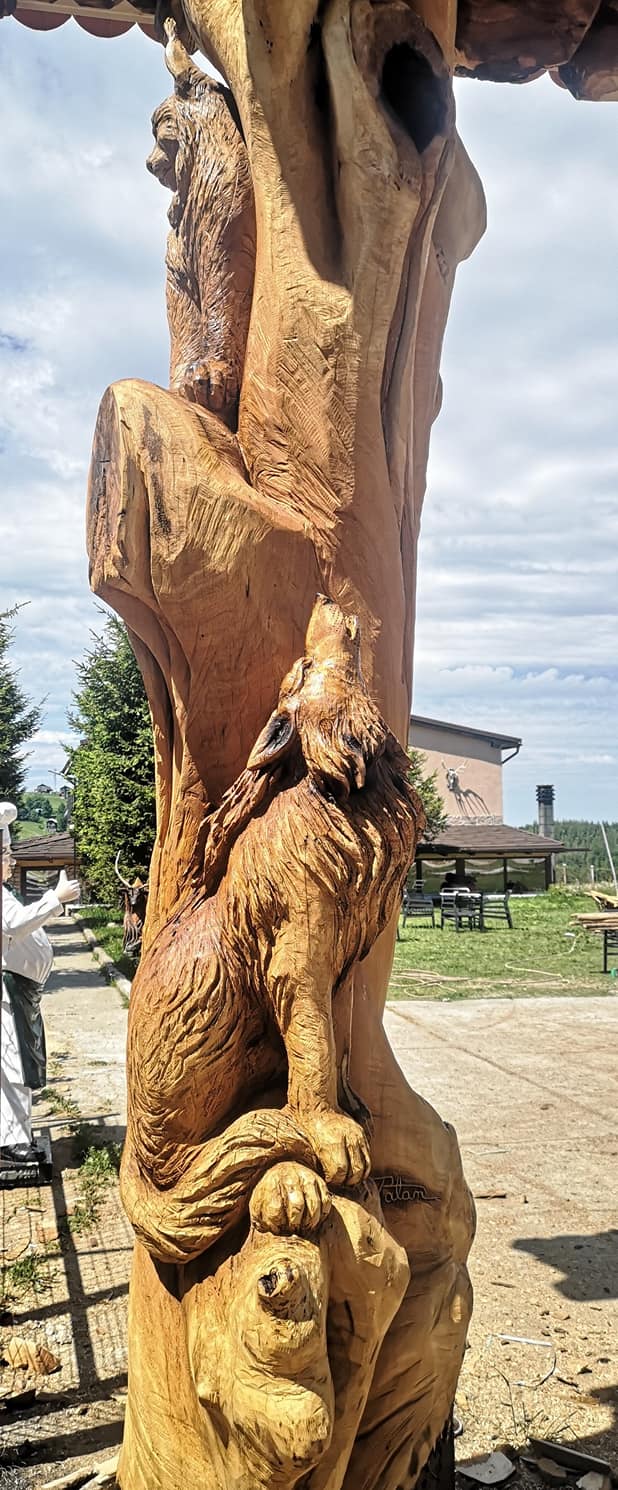 219169791 1811702069021437 7452356105556531428 n