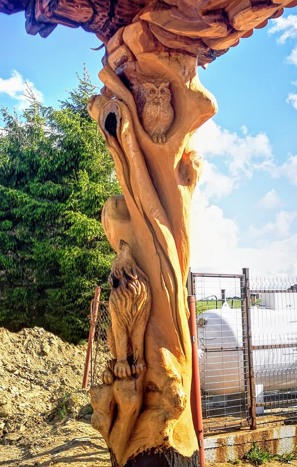 219631771 1811701449021499 8387389698127353988 n