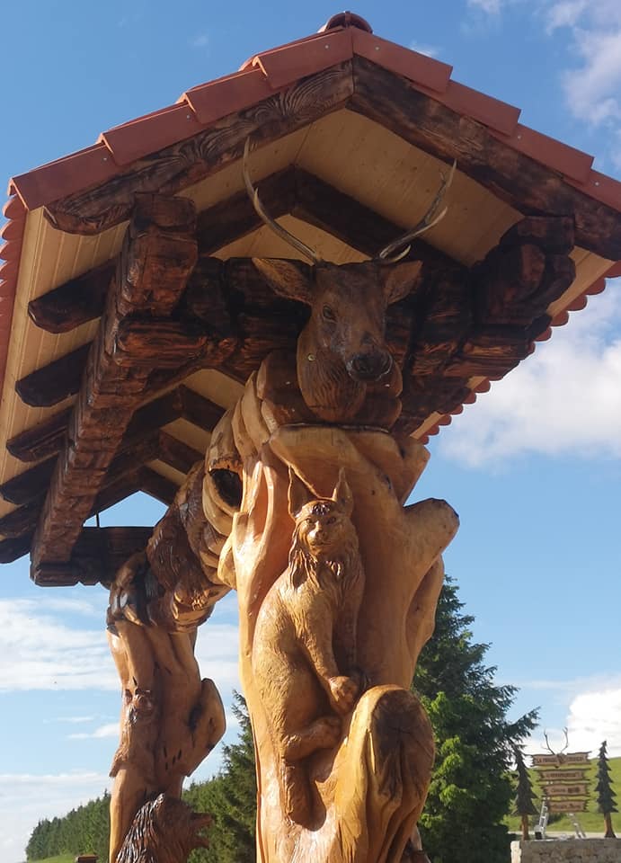 473005827 2738889922969309 1153971787684361704 n