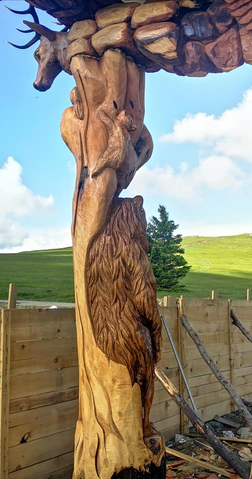 473110313 2738889616302673 3025518569326021624 n