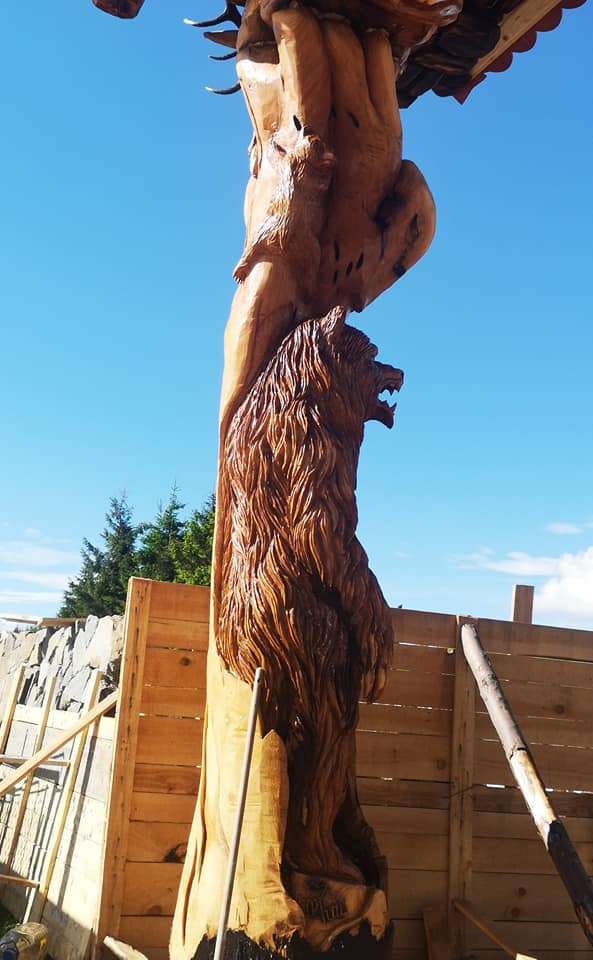 473177555 2738889849635983 1171737708802501842 n