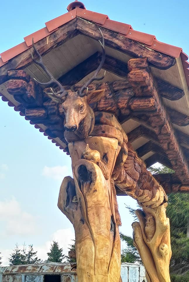 473243905 2738889592969342 803086798296992629 n