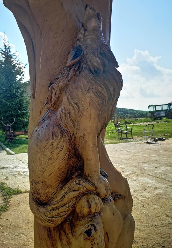 473532050 2738889902969311 7568853949370129157 n