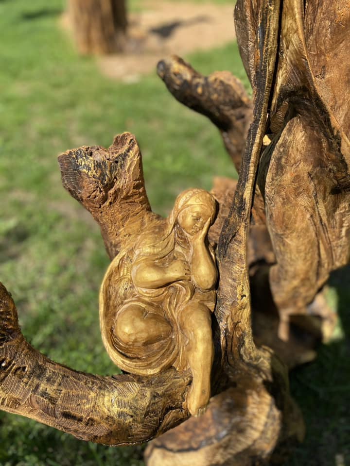 482355655 2788898731301761 8097377741072837064 n