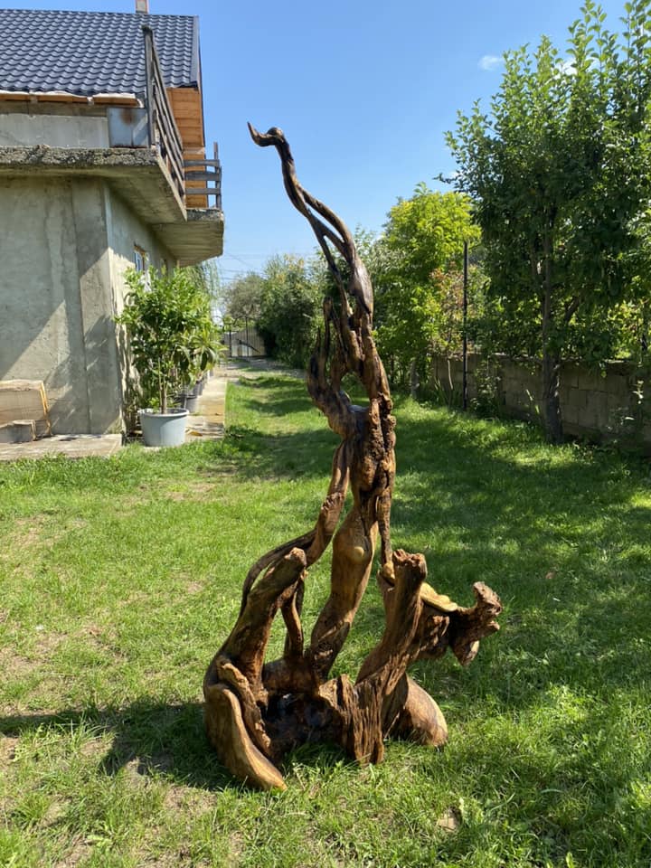 483063751 2788898864635081 2339844822703546052 n