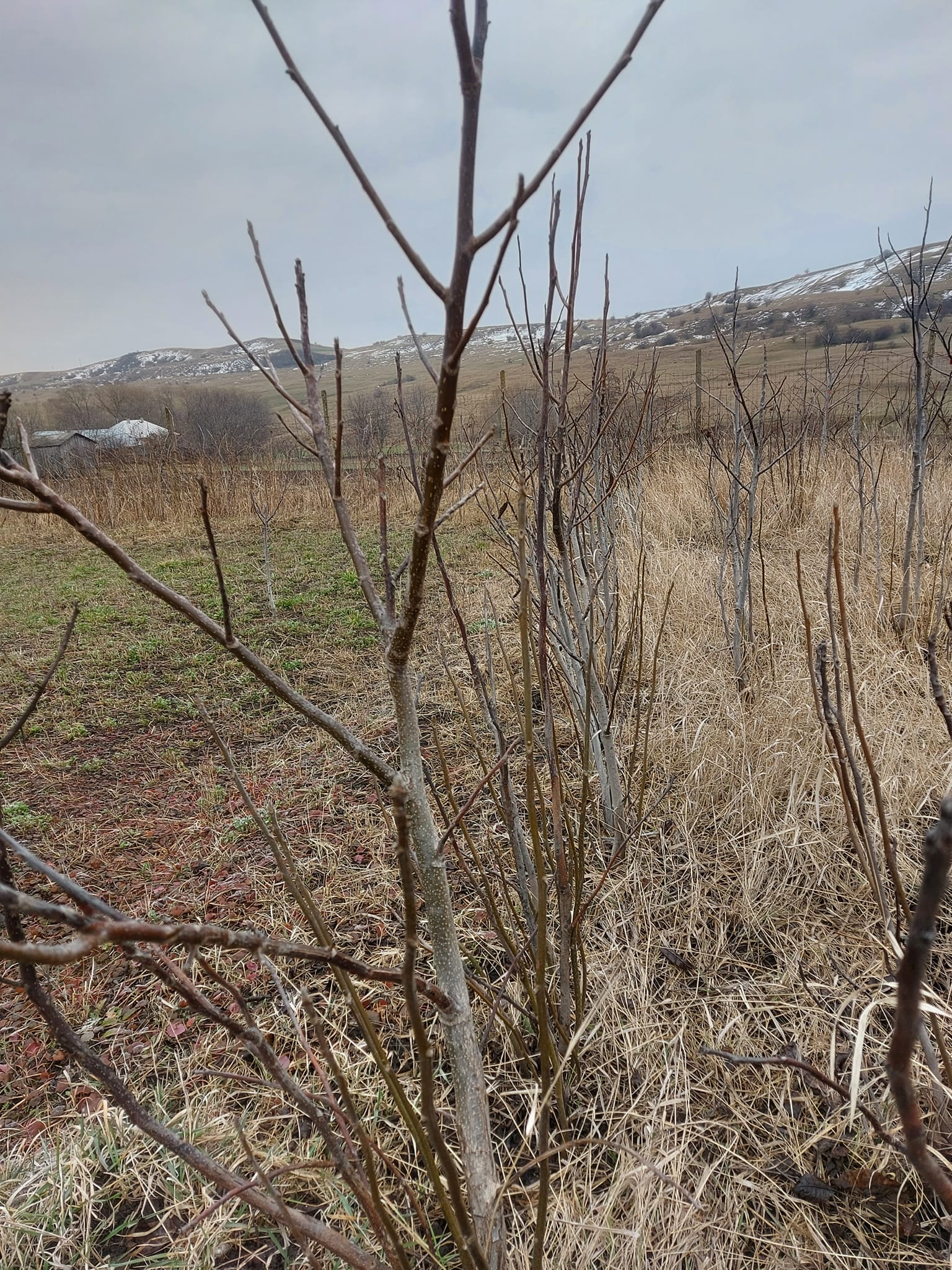 485227469 2796592163865751 7704654456846936776 n