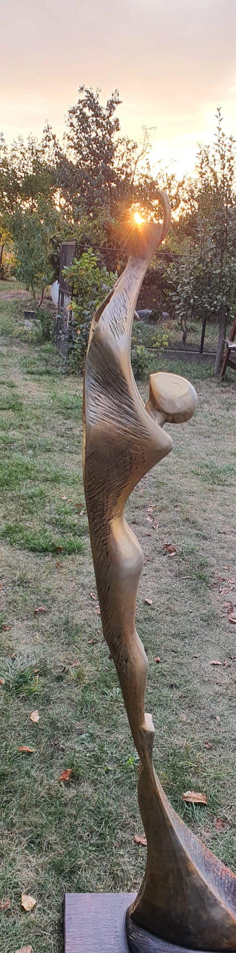 486510112 2804052409786393 2571305599718258233 n