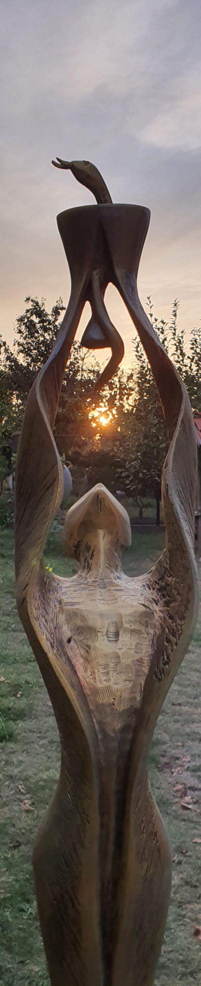 486647172 2804052299786404 5099353753180304756 n