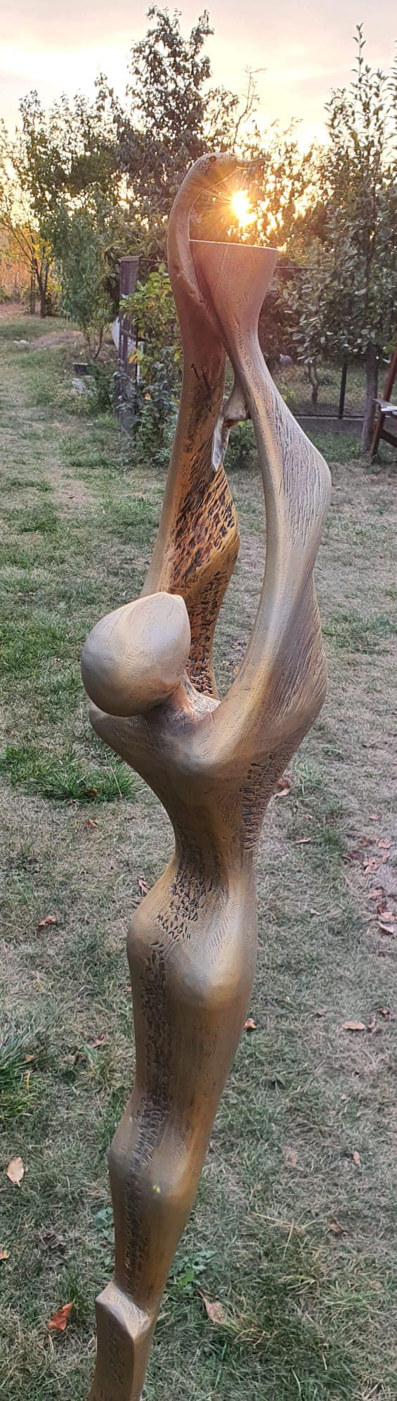 486656467 2804052419786392 3991855500758877394 n