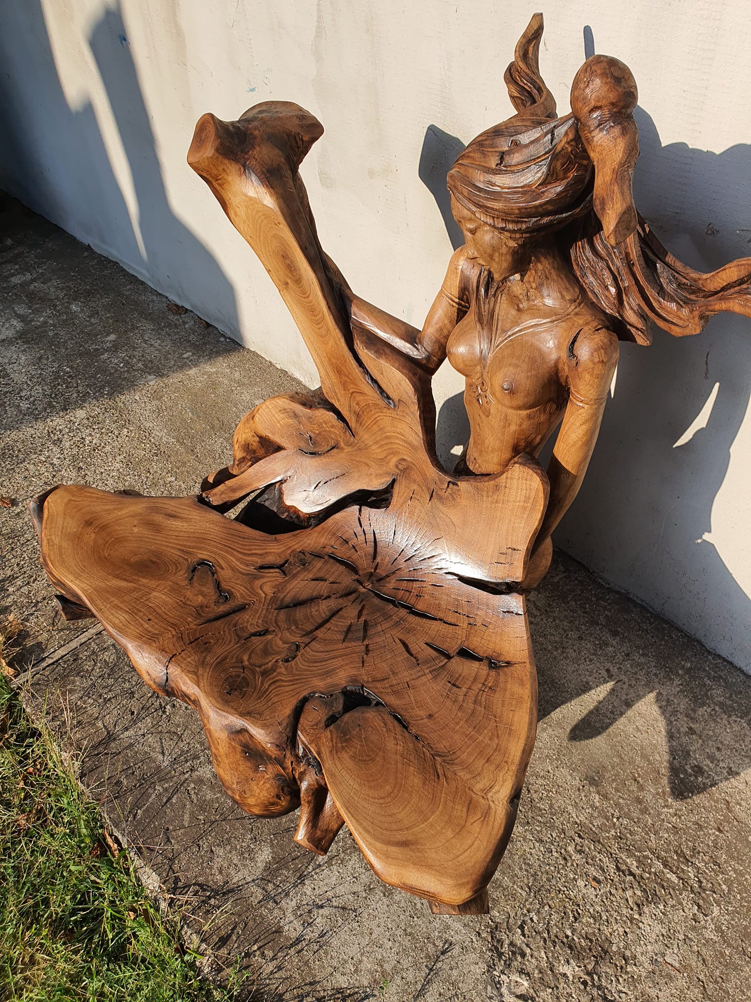 486791534 2804209856437315 3154653856148659818 n