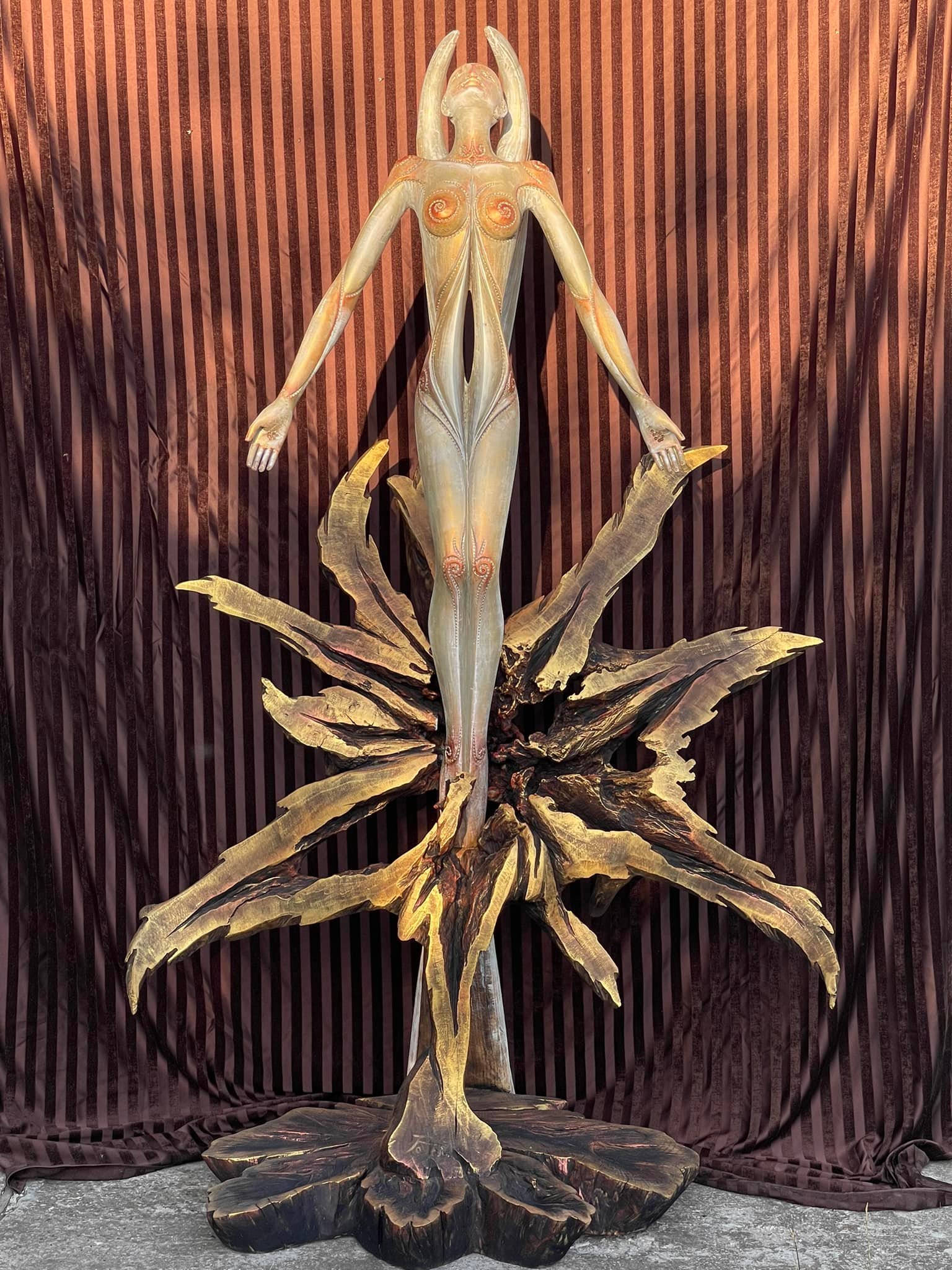 486795734 2804038479787786 5586061174422524021 n