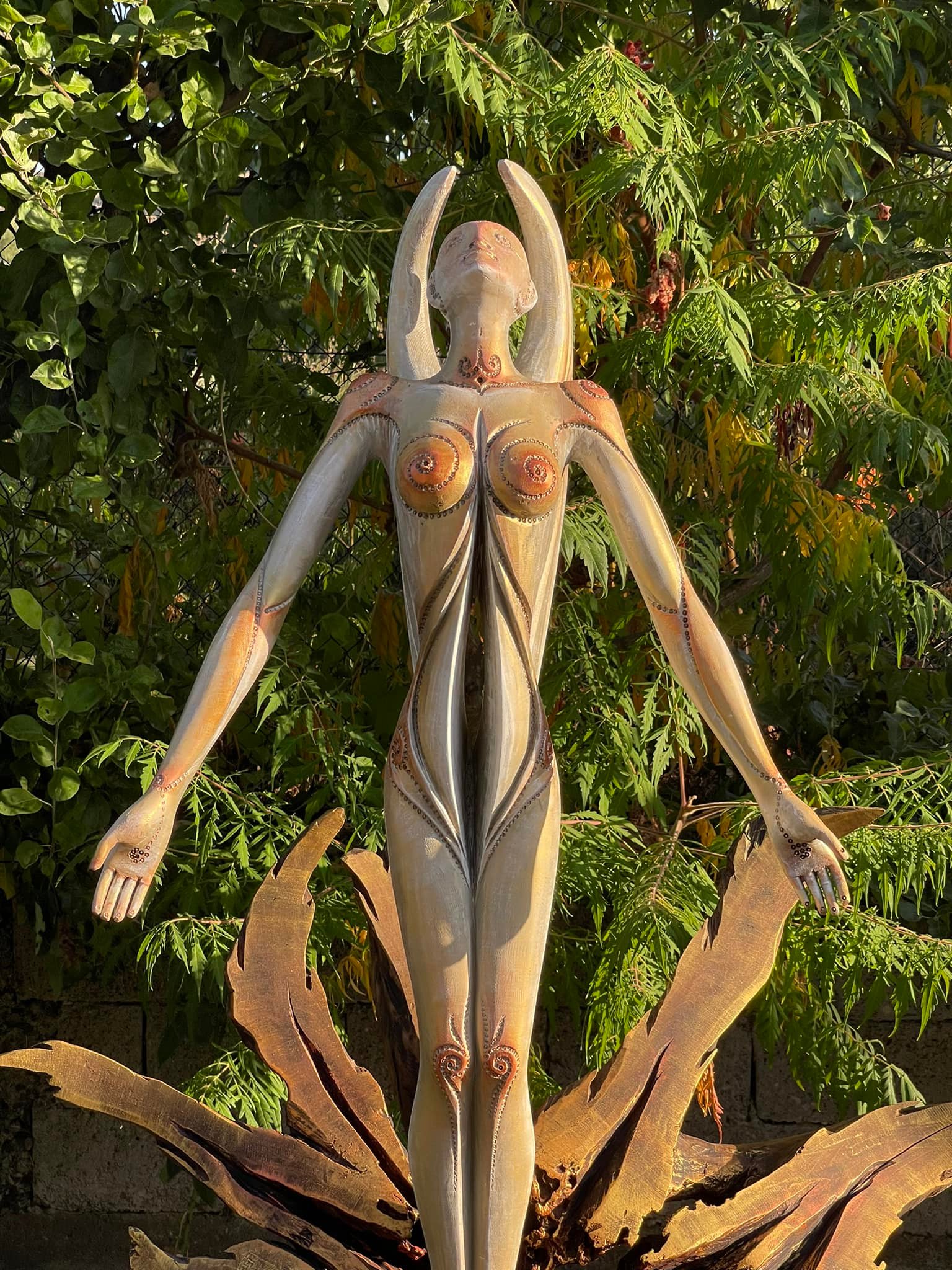 486813458 2804038179787816 2487513131156711241 n