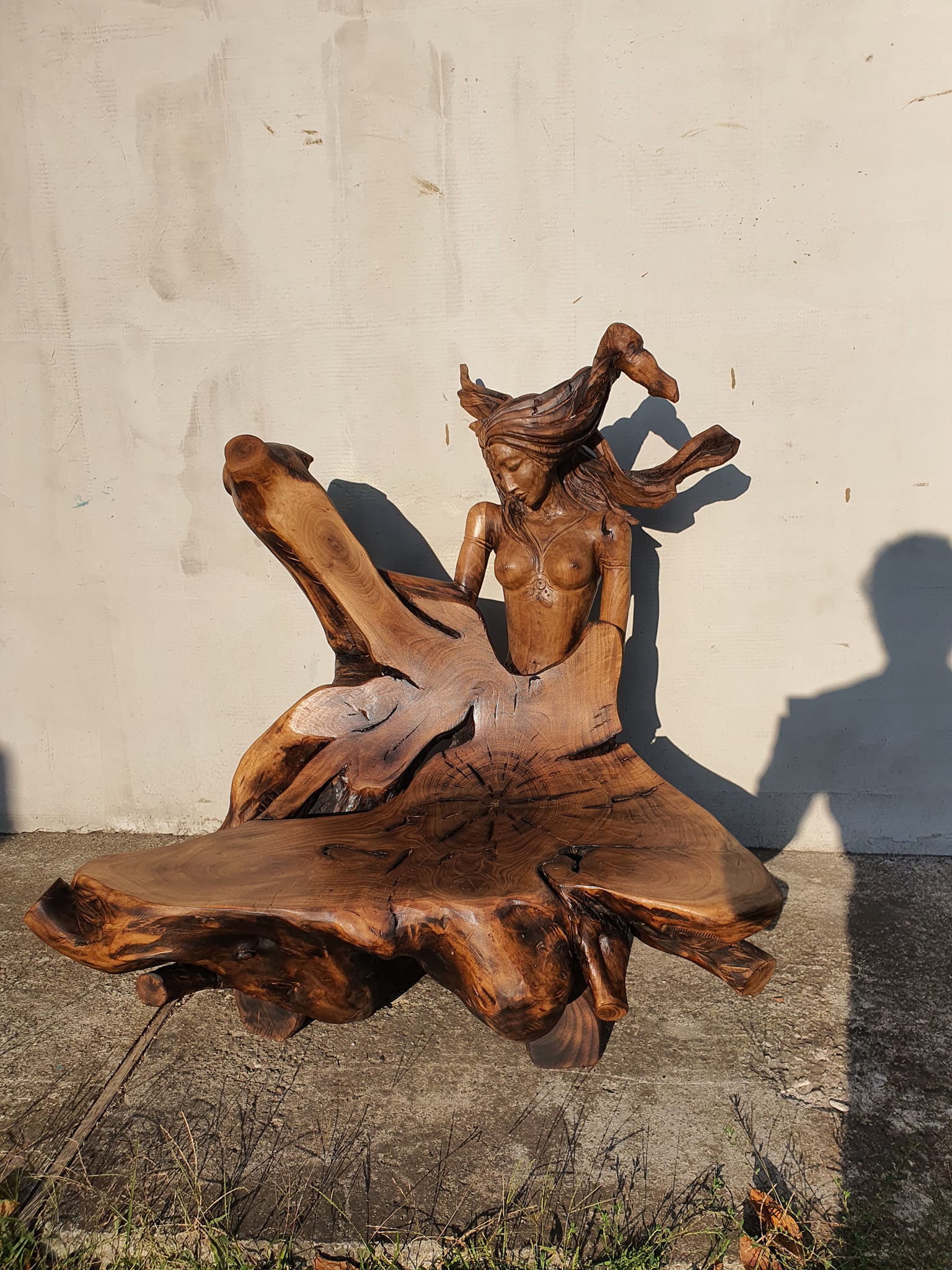 487054239 2804209953103972 360148741312574045 n