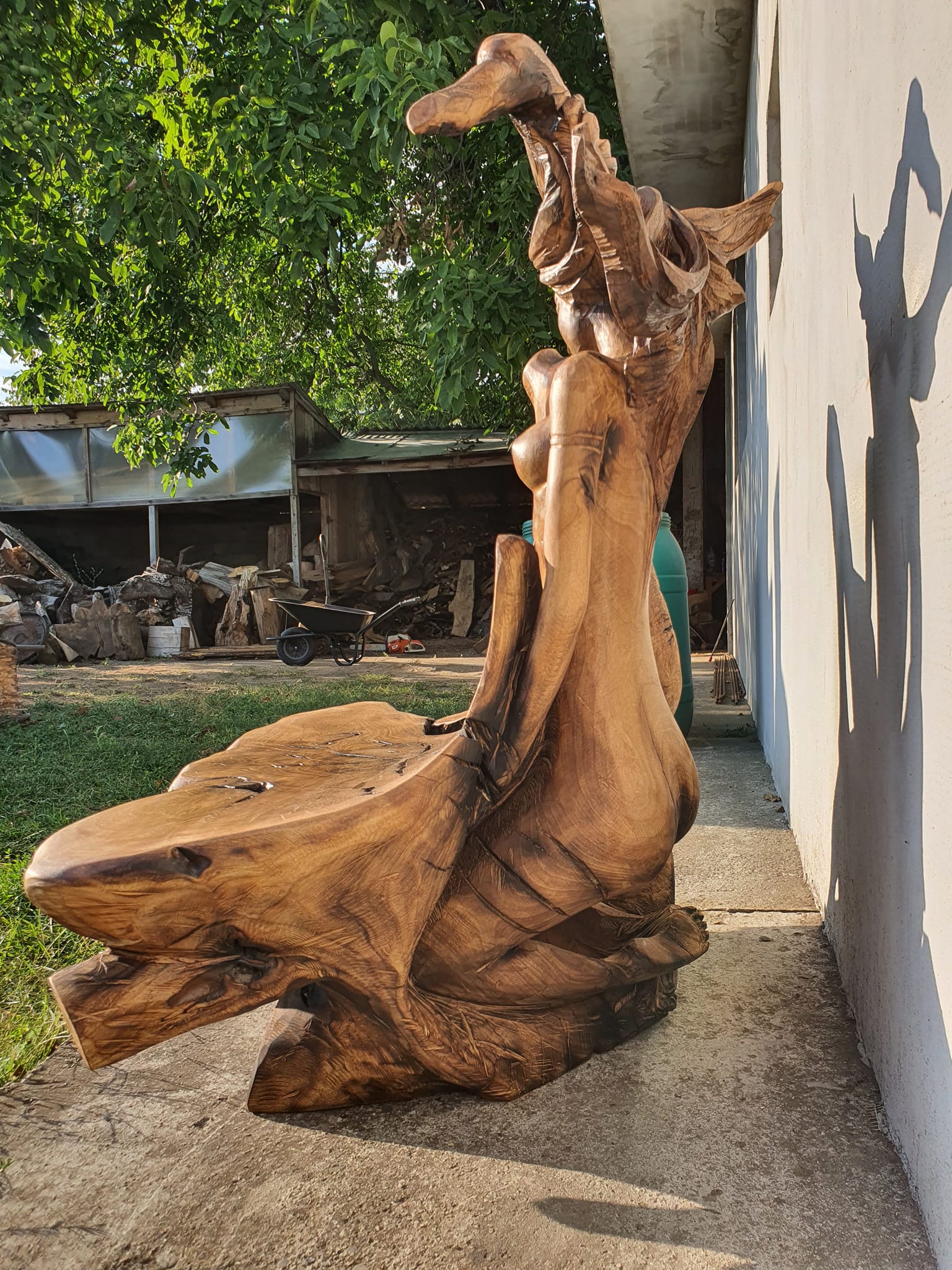 487085872 2804209559770678 8145458417792860548 n