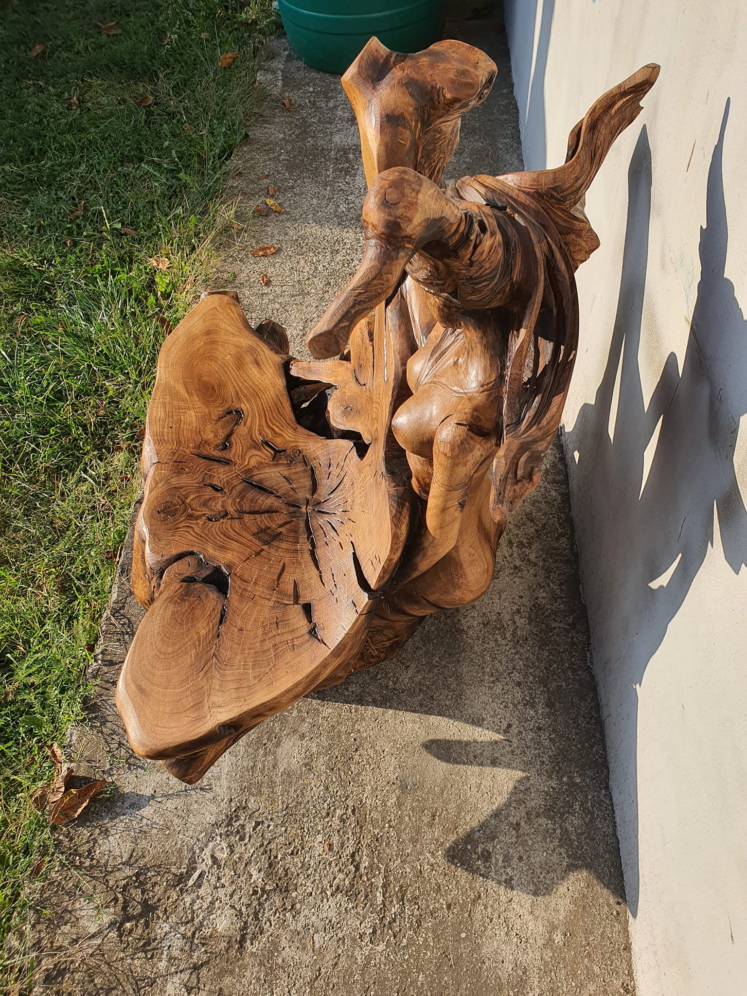 487433107 2804209553104012 1173053632996984387 n