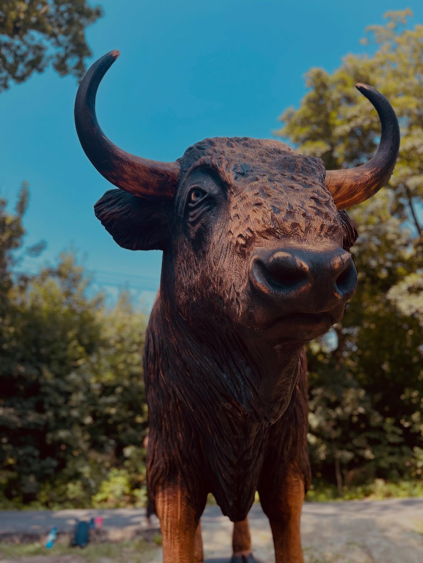 527464420 18075326417491138 4780245071348888199 n