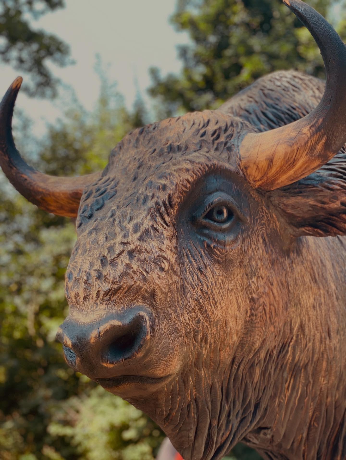 527704977 18075326408491138 981524192828836264 n