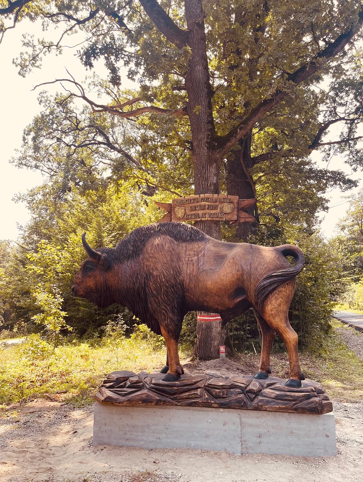 528402220 18075326426491138 994870075063815049 n