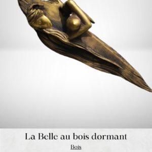 Înălțime: 80 cm Lățime: 110 cm Adâncime: 20 cm Sculptura reprezintă visul care vine și te învăluie în vălurile sale, pornind către călătorii aventuroase dincolo de granițele spiritului conștient. Aluzia la ființa umană conduce la abstractizarea chipului omenesc așezat pe palmă.